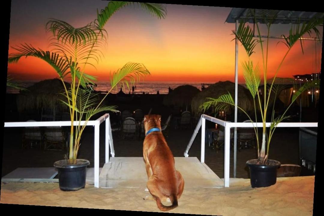 Baywatch Beach Resort Patnem Canacona Exterior foto